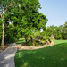 Southern area of the Playacar Golf Course (Hard Rock Campo de Golf, Paseo Xaman - Ha)