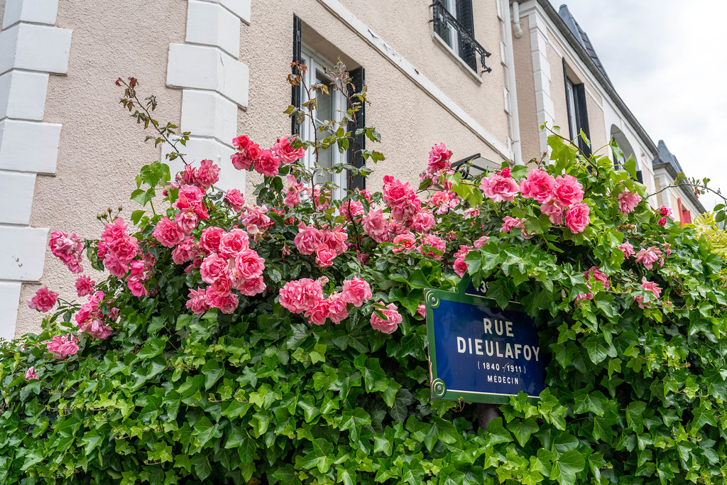Paris cité aux fleurs