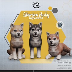 [Rezz Room] Siberian Husky Puppy Animesh (Companion) v2.0.0