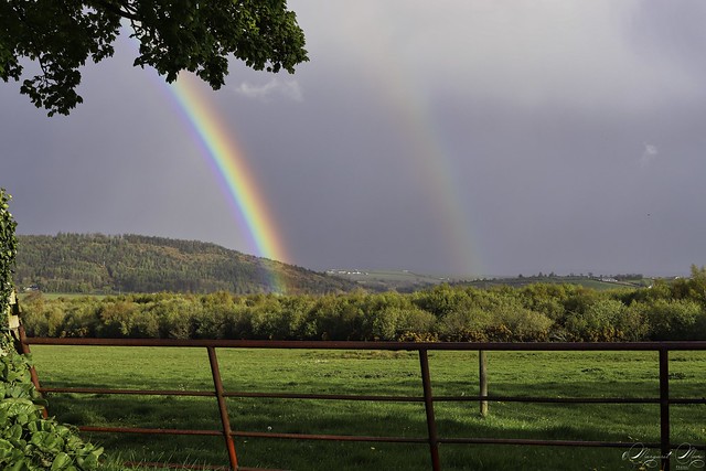 Double but partial rainbows
