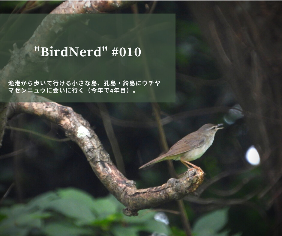 BirdNerds010