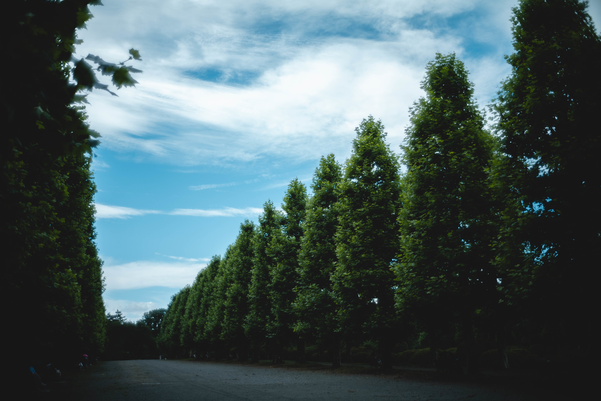 Shinjuku Imperial Garden