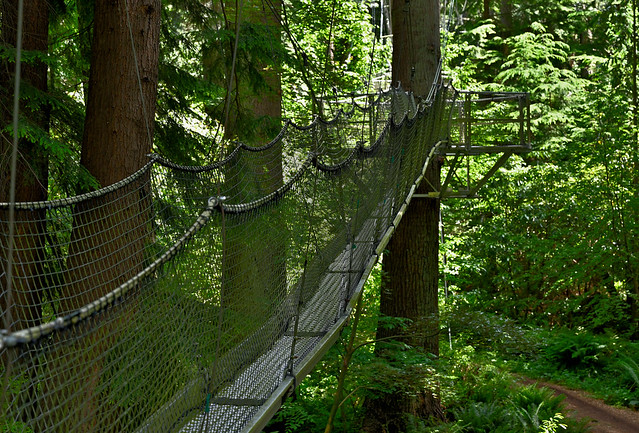 The Greenheart TreeWalk, UBC Botanical Garden