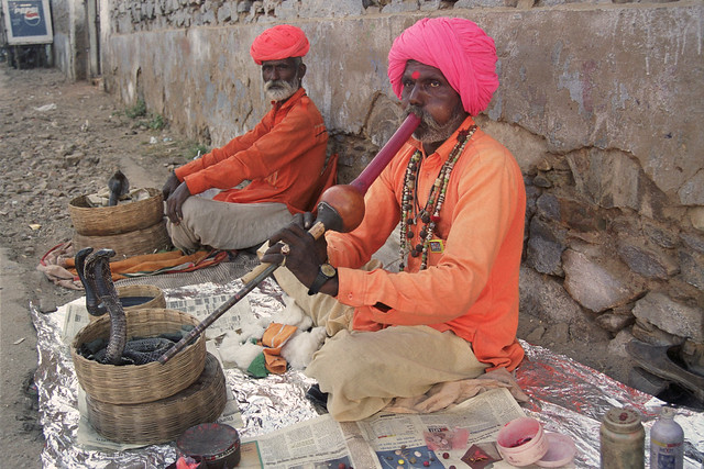 Snake charmers, Pushkar, Rajasthan, India