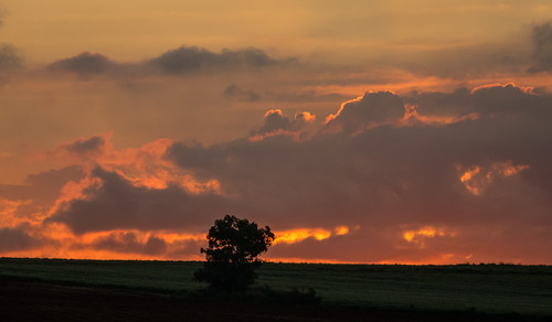 australia laketinaroo queensland yungaburra clouds lake landscape panorama sky sunset