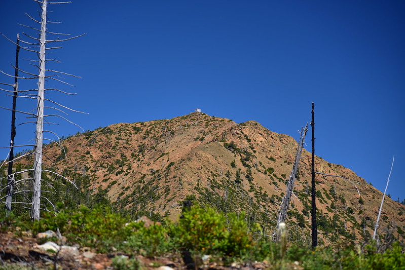 Pearsoll Peak hike