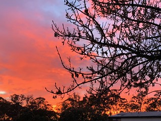 Sunrise in Bendigo this morning.