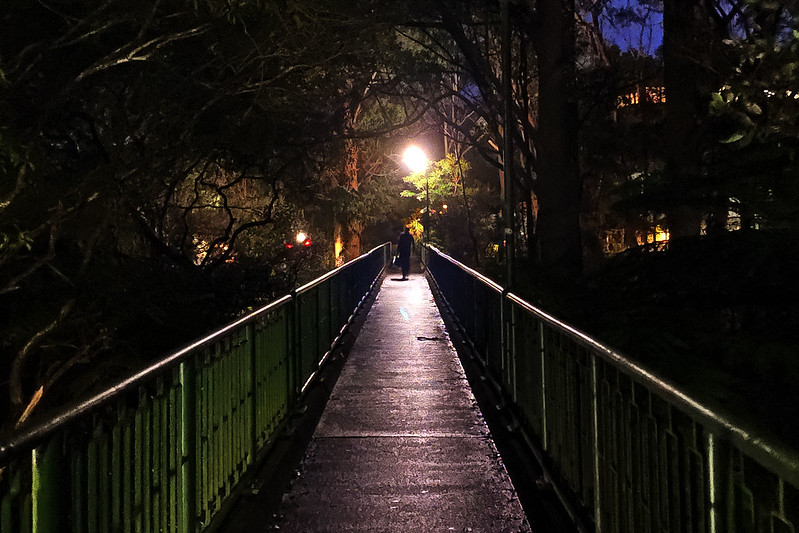 Footbridge at night
