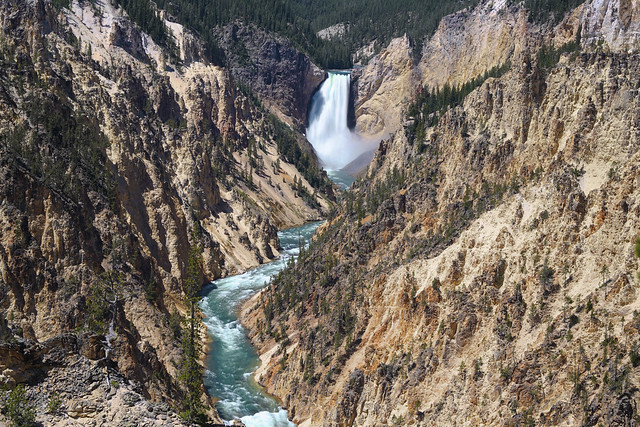 Yellowstone Falls and River Canyon