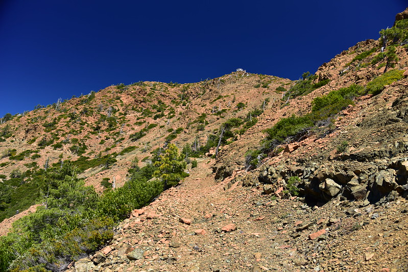 Pearsoll Peak hike