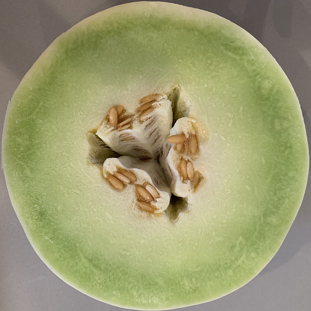 Half of a Honeydew melon - squared circle