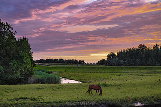 Sunset in rural Heinenoord