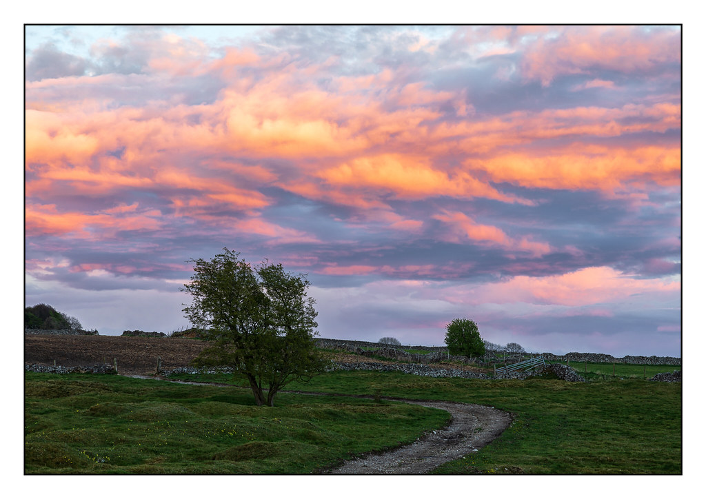 Reflected Light at Magpie Mine (2) 8452