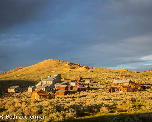 Standard Stamp Mill | by bethzuck