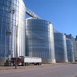 Meadowland Farmers Co-op Grain Elevator Lamberton, Minnesota