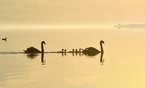 Sunrise Silhouette | by hd.niel