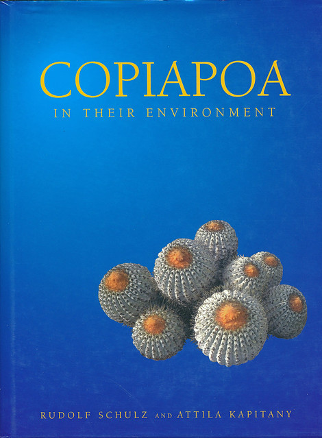 Copiapoa in their environment