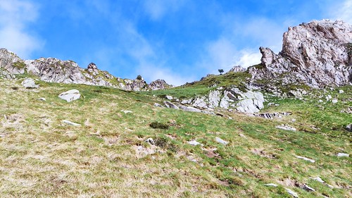 IMG_20210624_094106