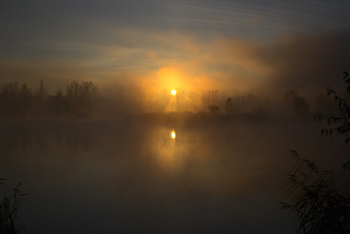 sunrise fog lake