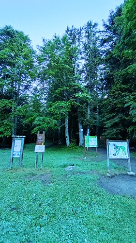 IMG_20210624_072407
