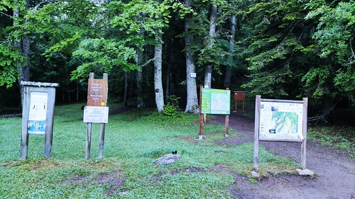 IMG_20210624_072357