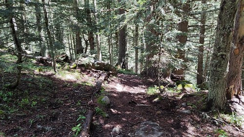 IMG_20210624_125732
