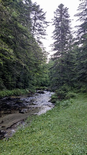 IMG_20210624_071121