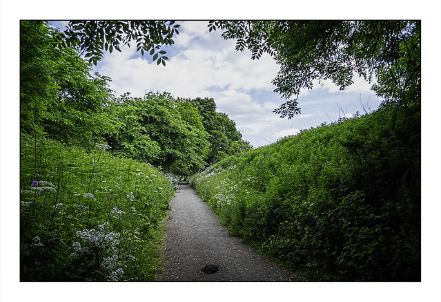 Watergate Forest Park Walk, Gateshead, Tyne & Wear, UK - 2021.