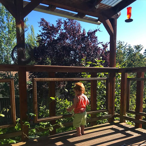 Baby admiring the grapevine (which is spreading onto the back patio) and enjoying a strawberry popsicle. 💚