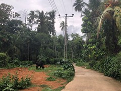 Abenteuer Backpack in Sri Lanka