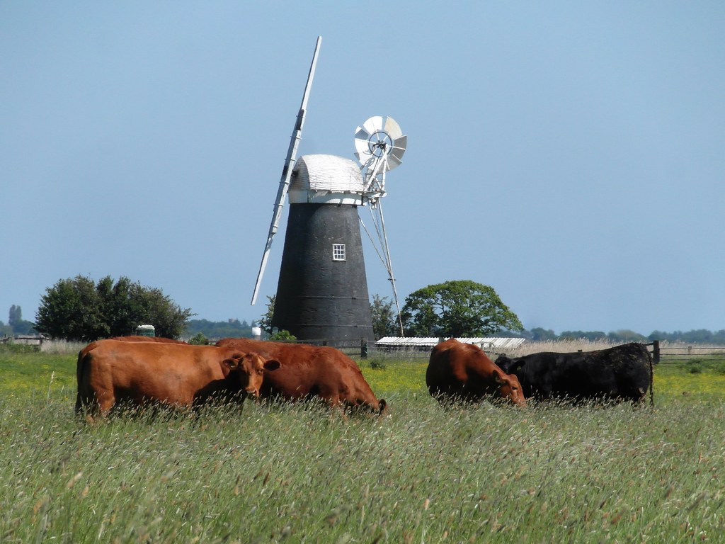 Mutton's Mill, Havergate marshes, Norfolk