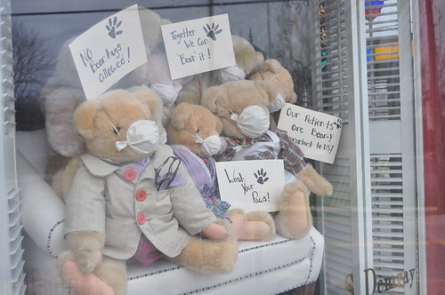Teddy bears in office window | by Brandon Karsten