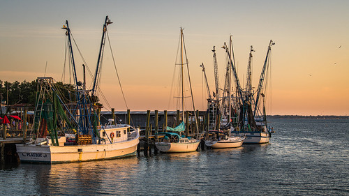 shemcreek seagulls shrimpboats charleston sunset southcarolina dusk unitedstates charlestonharbor mountpleasant