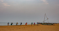 Sri Lanken Fisherman