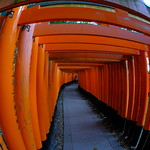 XE3F2818 - Fushimi Inari-taisha - 伏見稲荷大社  (Kioto - Kyoto - 京都)
