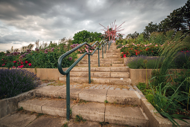 Staircase with decorative garden on each side of it