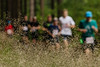 foto: Běhej lesy