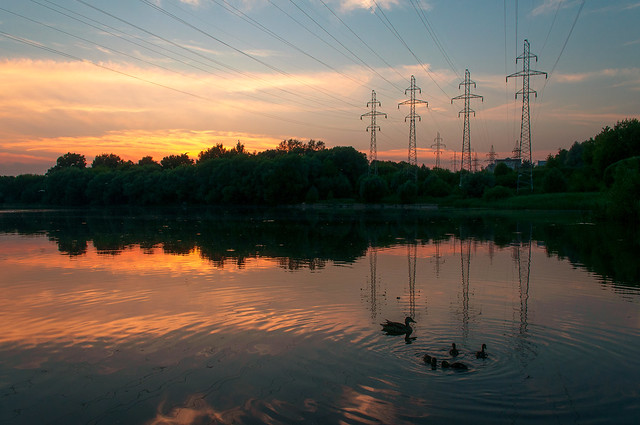 Summer Evening on Lyublinsky Pond
