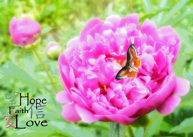 Hope, Faith, and Love