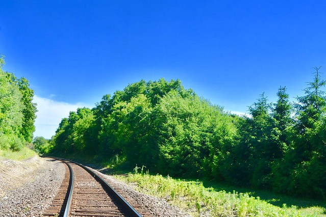 Blue sky, green forest...rails curving into the woods