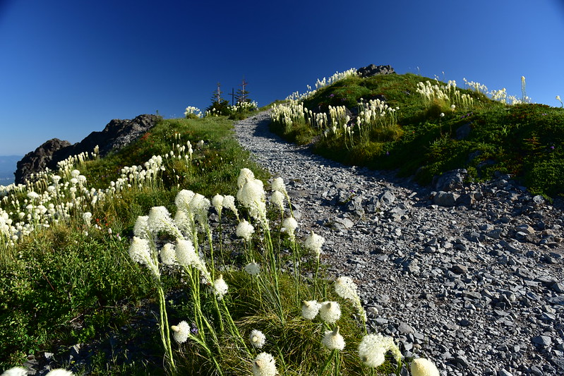 Silver Star Mountain