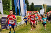foto: Běhej lesy