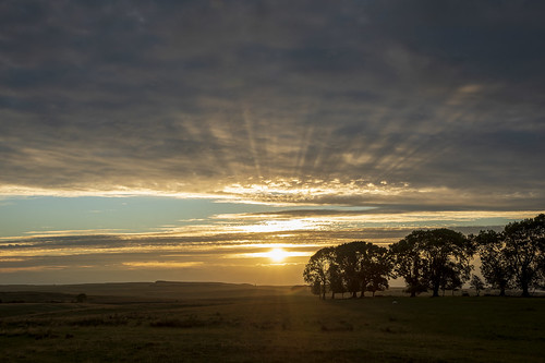 sunset northumberland goldenhour crepuscular rays