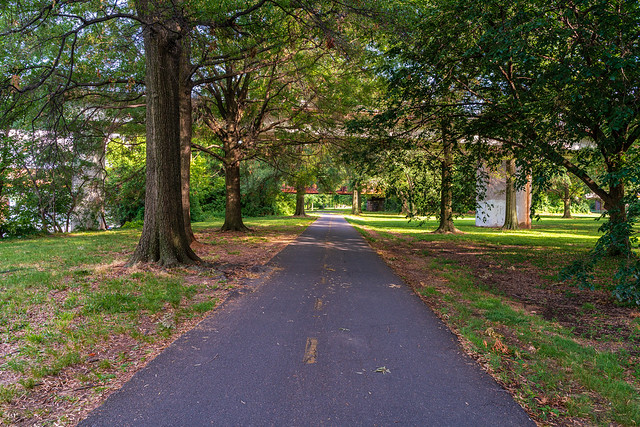 Mount Vernon Trail in Early Summer