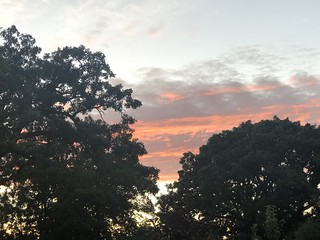 Sunset sky framed by trees, view from Cedarcrest Drive, Schaumburg, Illinois