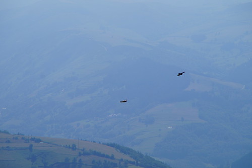 Pequeña escapada a Corias (Cangas del Narcea) 23-27 junio 2021 - Blogs of Spain - Ruta de Obacho y Santuario del Acebo, 24 de junio (55)