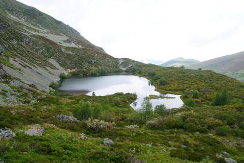 Puerto de Leitariegos, Laguna y Cueto de Arbás y Regla de Corias, 26 junio - Pequeña escapada a Corias (Cangas del Narcea) 23-27 junio 2021 (21)