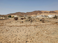 General view of the battlefield and burial ground of Badr, Saudi Arabia, site of the historic battle between the Prophet Muhammad and the Quraysh in  624  (2)