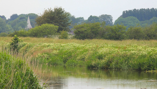 River Arun @ Houghton Sussex