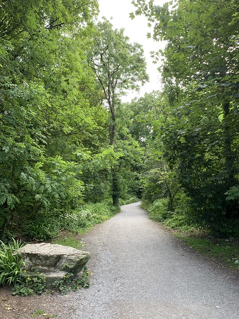 Slieve / Sliabh Gullion Forest Park